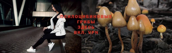 a pvp Анжеро-Судженск
