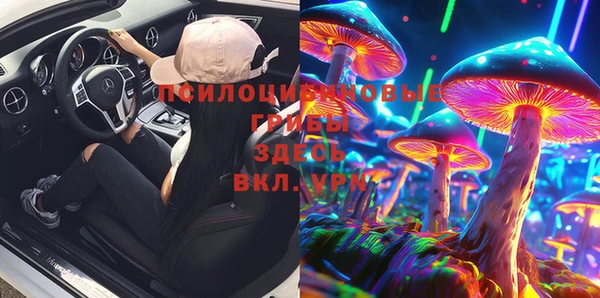 хмурый Надым