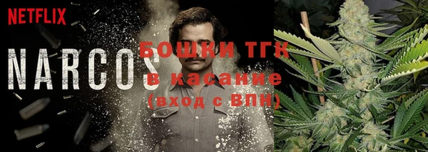 spice Михайлов