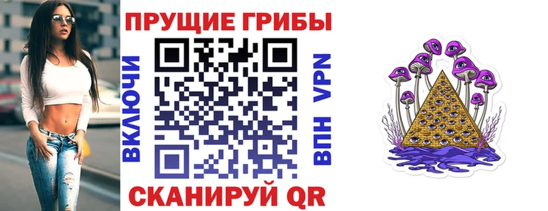 Псилоцибиновые грибы мицелий  сайты даркнета телеграм  Циолковский 